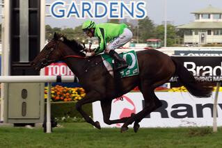 Consommateur (NZ) claims the G3 Epona Stakes at Rosehill. Photo: Equine Images